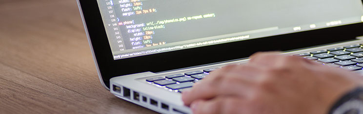 Grow a Business: How Purchasing another Website Maximizes SEO